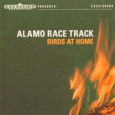 Alamo Race Track -  Birds at Home